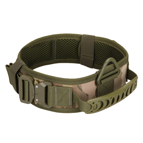 Collier d'entraînement pour chien avec structure en métal réglable