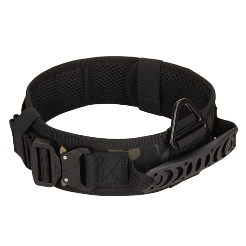 Collier d'entraînement pour chien avec structure en métal réglable