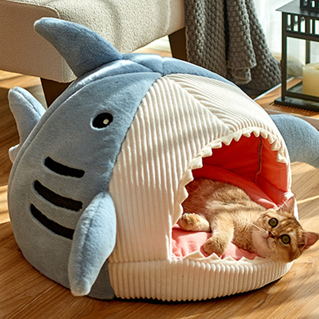 Lit de chat requin