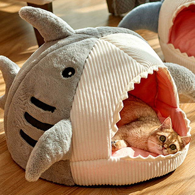 Lit de chat requin